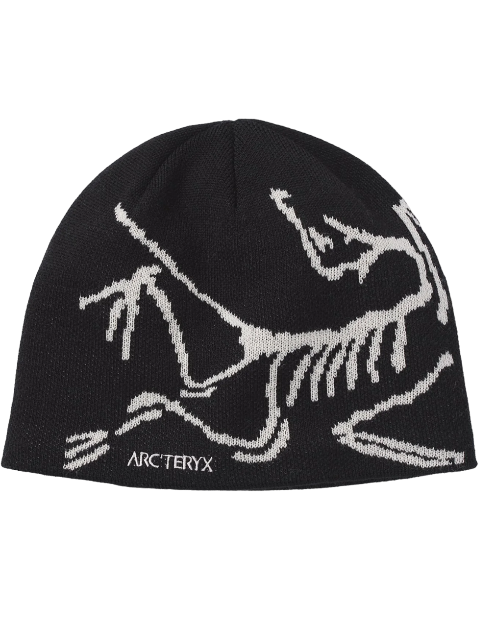 Beanie Arcteryx