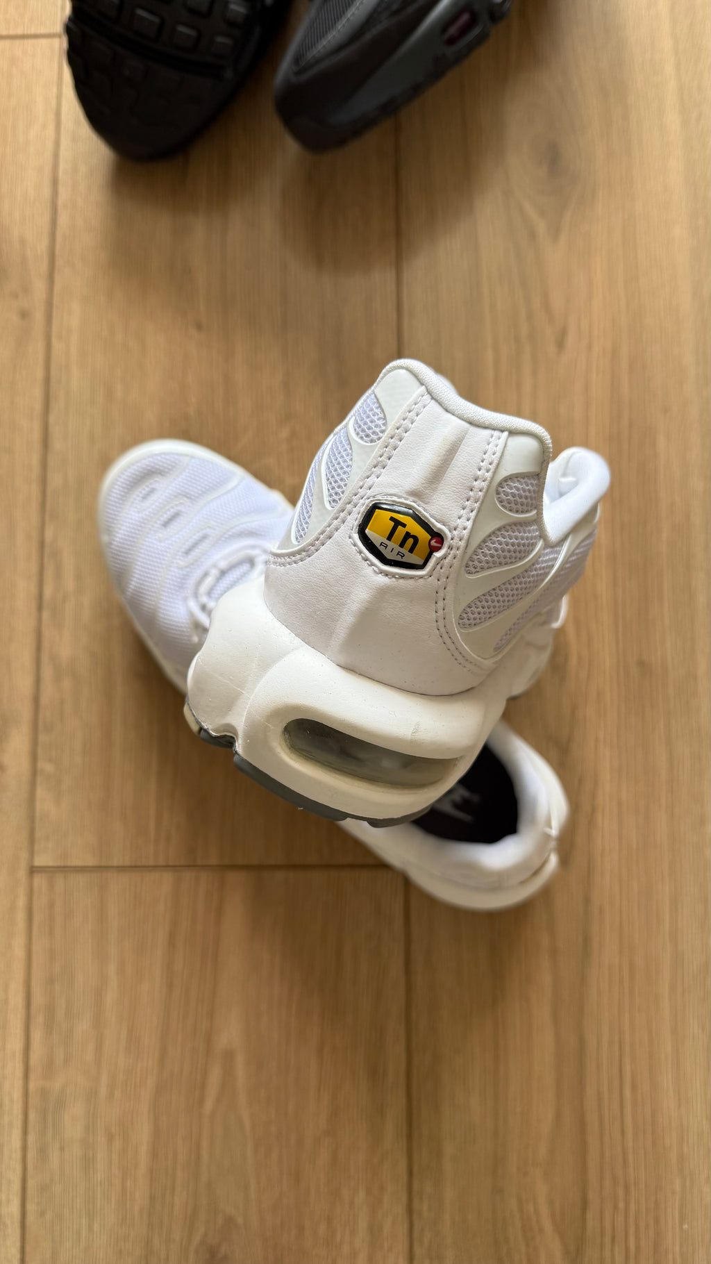 Nike Air Max Plus White (No Box)